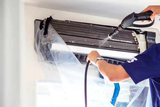 Best Air Vent Cleaning Services  in Wheaton, MN
