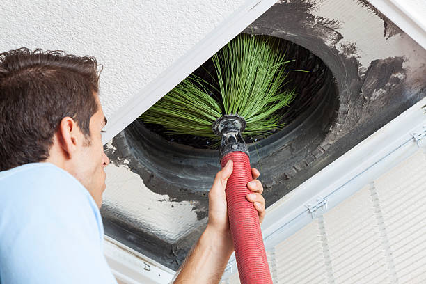 Best Ductwork Cleaning Services  in Wheaton, MN